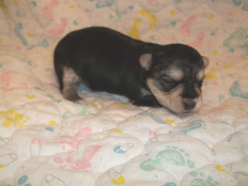 click here to see me grow