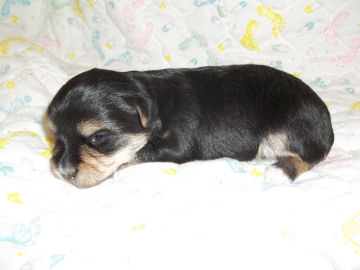 click here to see me grow