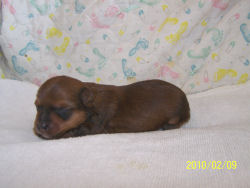 click here to see me grow