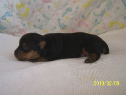 click here to see me grow