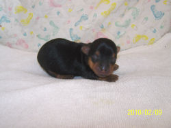 click here to see me grow