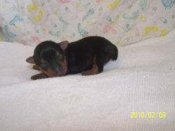 click here to see me grow