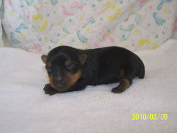 click here to see me grow
